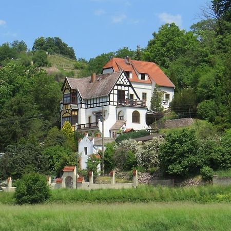 Ferienwohnung Elbsommer Am Weinberg Meissen Exterior photo