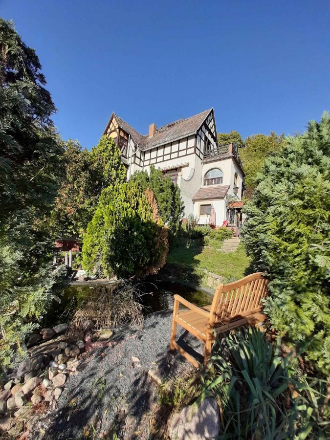 Ferienwohnung Elbsommer Am Weinberg Meissen Exterior photo