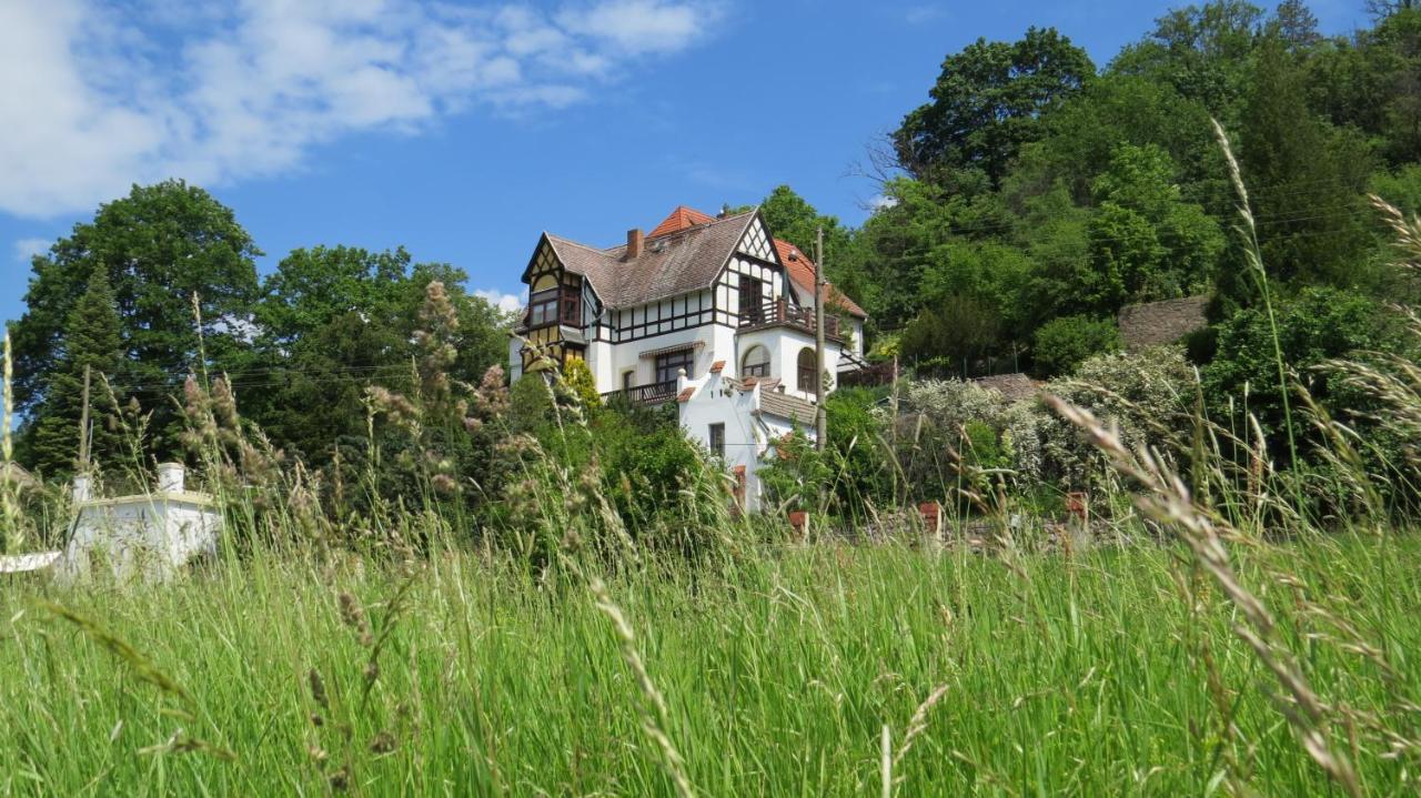 Ferienwohnung Elbsommer Am Weinberg Meissen Exterior photo